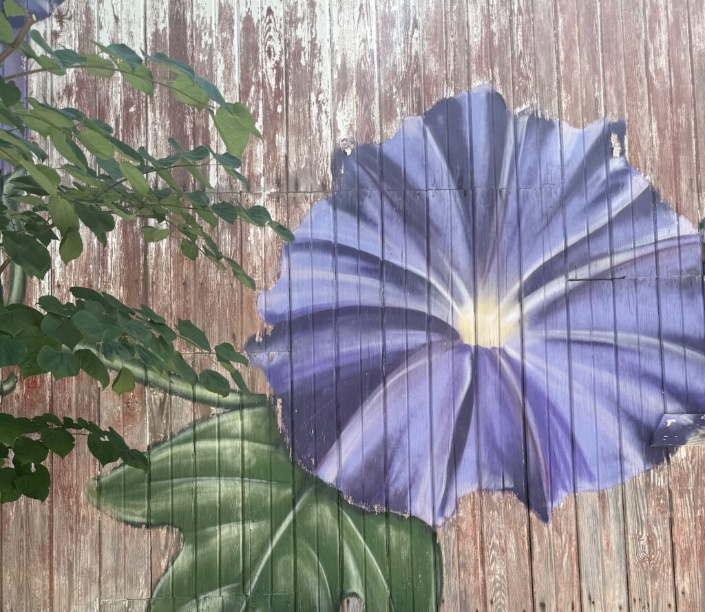 A garage with a morning glory mural painted on it.